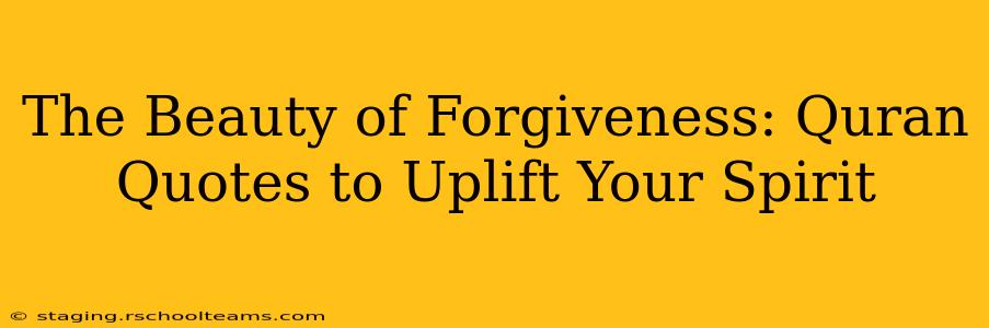 The Beauty of Forgiveness: Quran Quotes to Uplift Your Spirit
