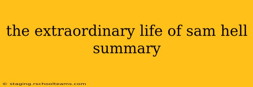 the extraordinary life of sam hell summary
