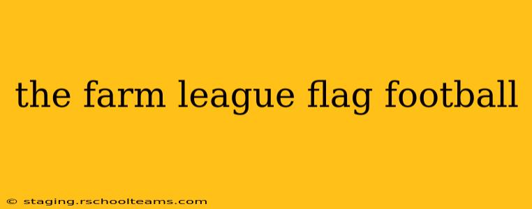 the farm league flag football