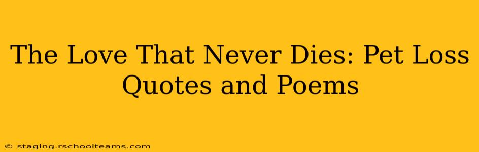 The Love That Never Dies: Pet Loss Quotes and Poems