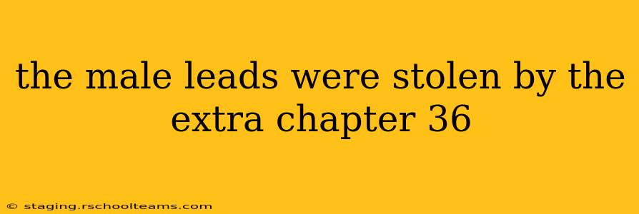 the male leads were stolen by the extra chapter 36