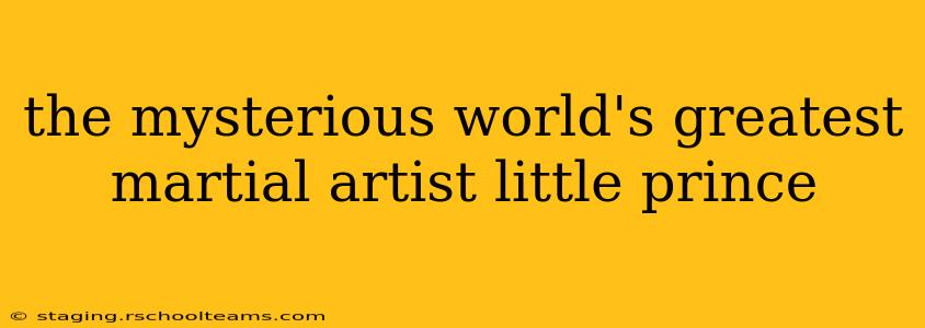 the mysterious world's greatest martial artist little prince