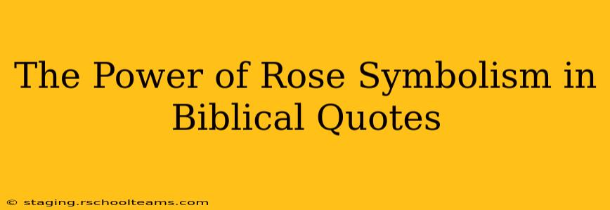 The Power of Rose Symbolism in Biblical Quotes