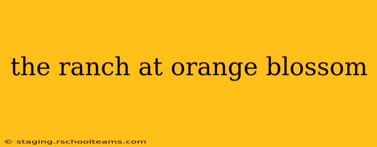 the ranch at orange blossom