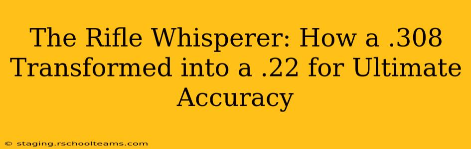 The Rifle Whisperer: How a .308 Transformed into a .22 for Ultimate Accuracy