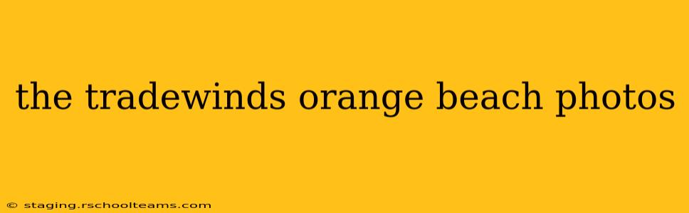 the tradewinds orange beach photos