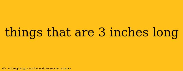 things that are 3 inches long