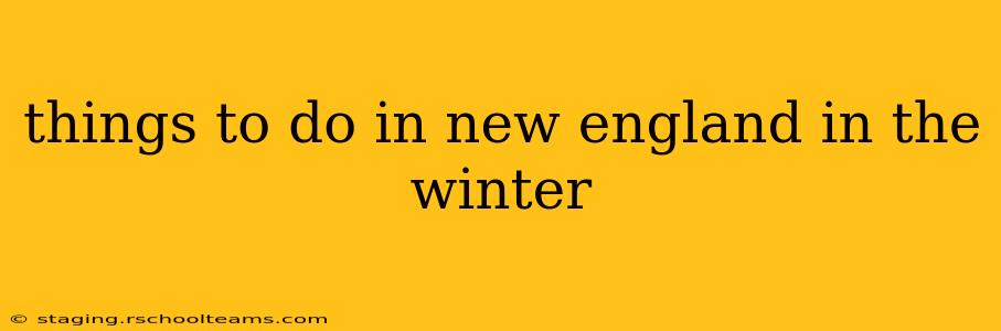 things to do in new england in the winter