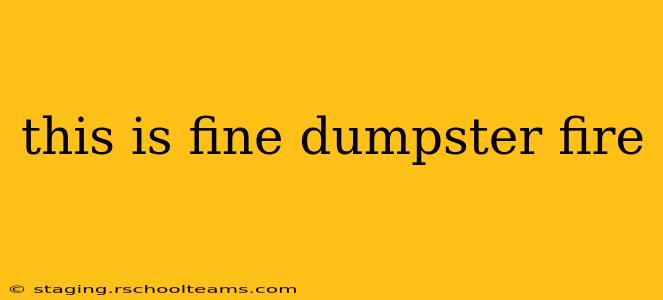 this is fine dumpster fire