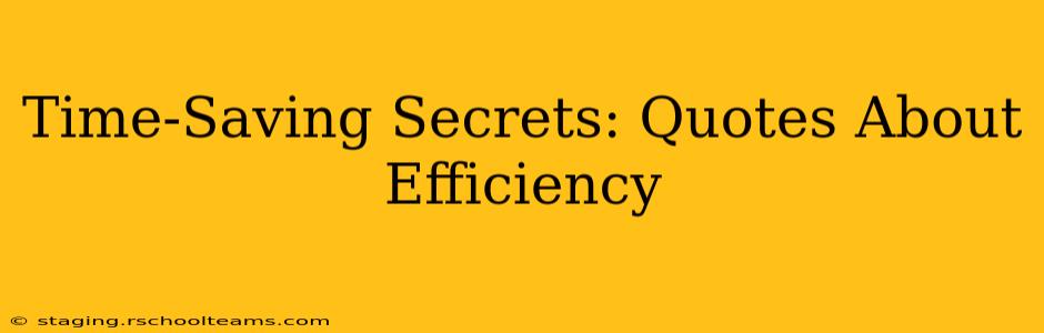 Time-Saving Secrets: Quotes About Efficiency