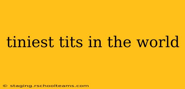 tiniest tits in the world tiniest tits in the world
