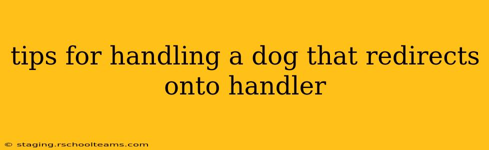 tips for handling a dog that redirects onto handler