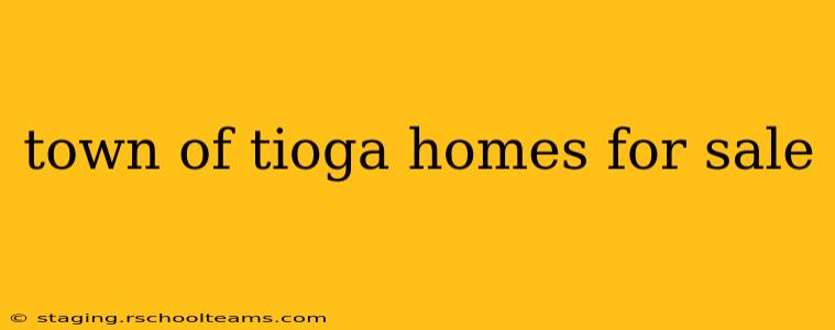 town of tioga homes for sale