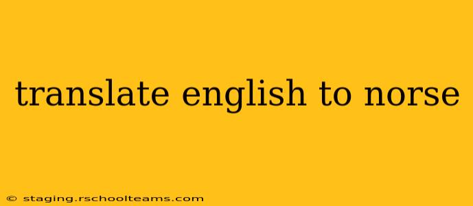 translate english to norse