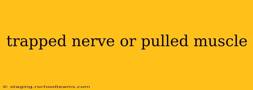trapped nerve or pulled muscle
