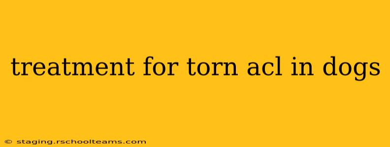 treatment for torn acl in dogs
