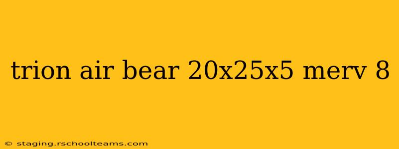 trion air bear 20x25x5 merv 8