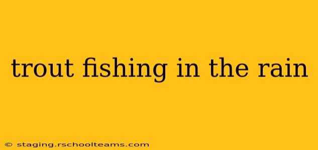 trout fishing in the rain