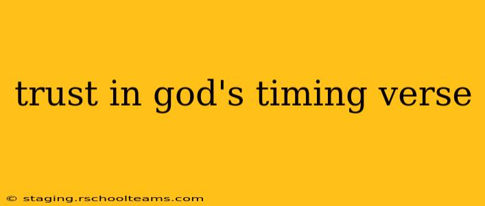 trust in god's timing verse