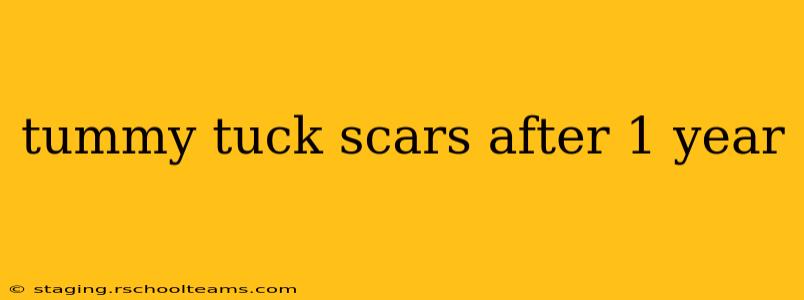 tummy tuck scars after 1 year