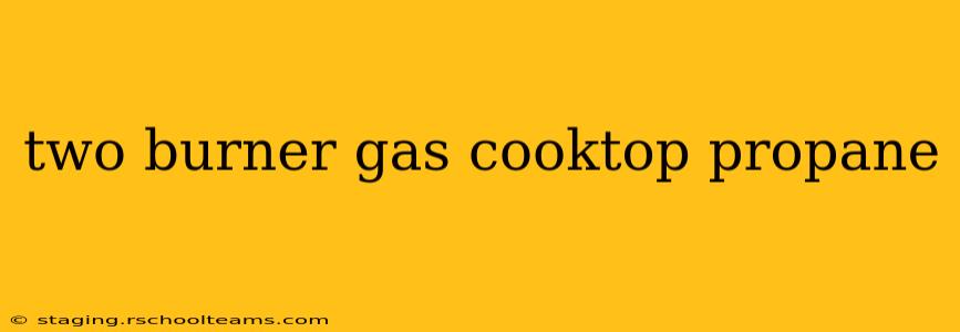 two burner gas cooktop propane