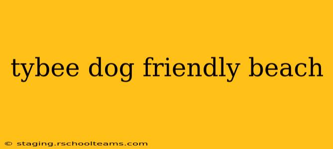 tybee dog friendly beach