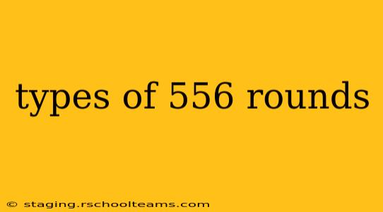 types of 556 rounds