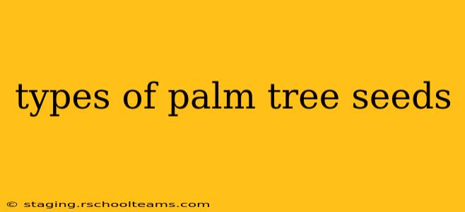 types of palm tree seeds