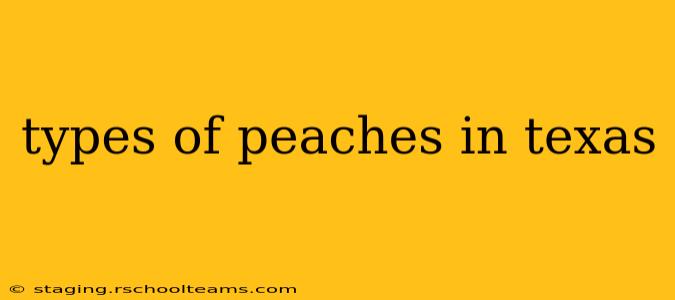 types of peaches in texas