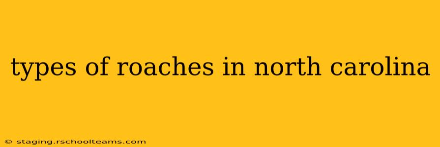 types of roaches in north carolina