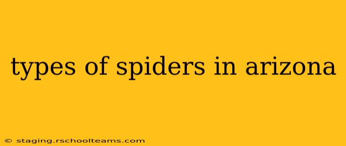 types of spiders in arizona
