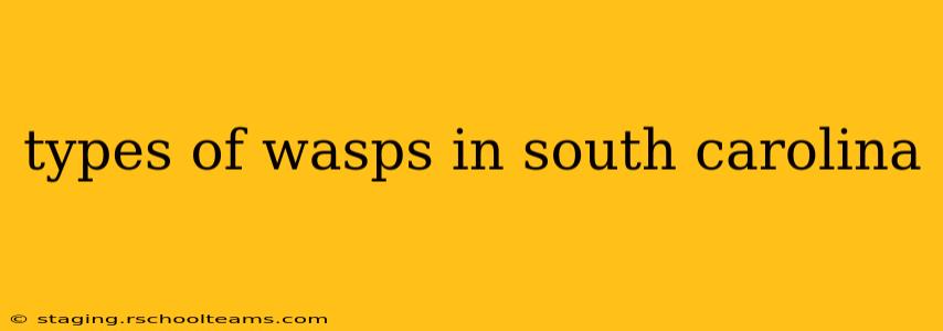 types of wasps in south carolina