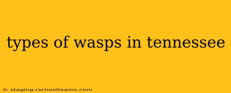 types of wasps in tennessee