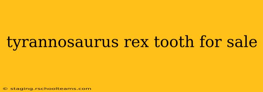 tyrannosaurus rex tooth for sale