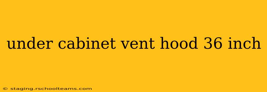 under cabinet vent hood 36 inch