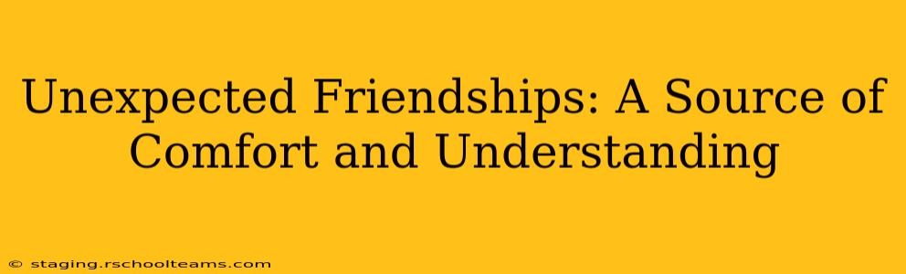 Unexpected Friendships: A Source of Comfort and Understanding