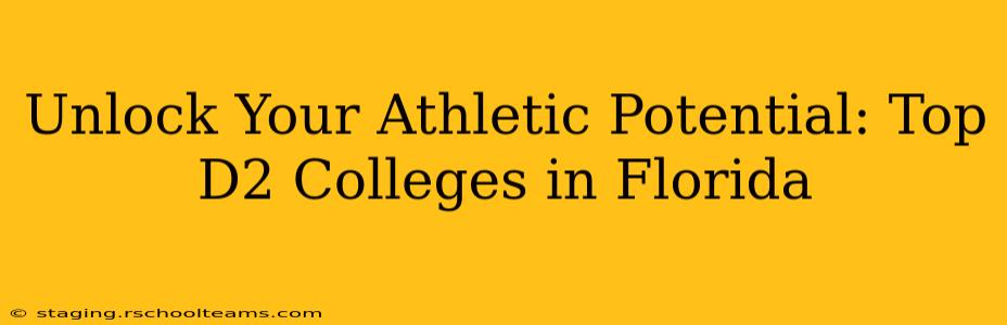 Unlock Your Athletic Potential: Top D2 Colleges in Florida