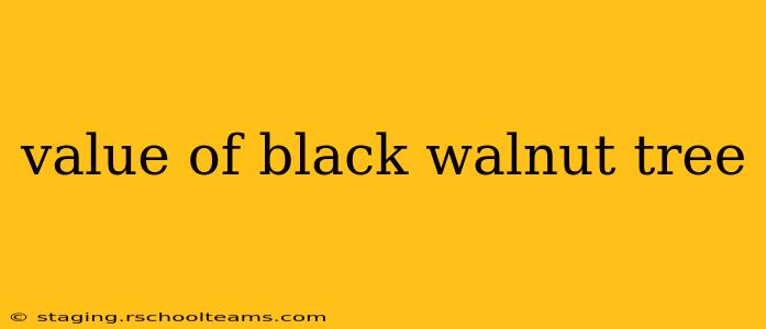 value of black walnut tree