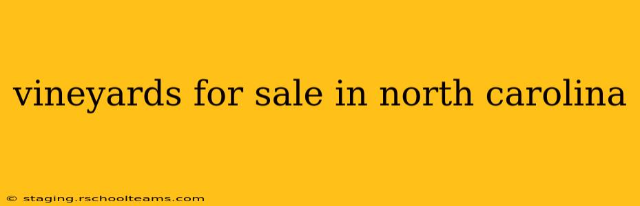 vineyards for sale in north carolina