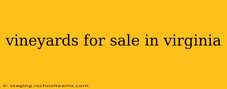 vineyards for sale in virginia