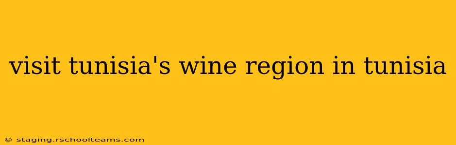 visit tunisia's wine region in tunisia