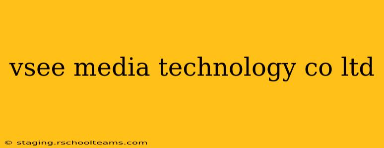 vsee media technology co ltd
