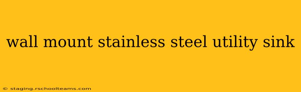 wall mount stainless steel utility sink