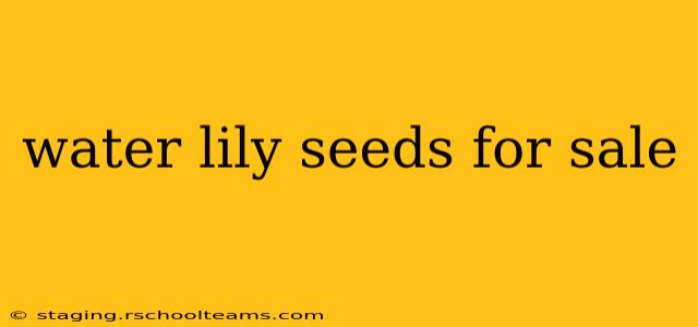 water lily seeds for sale