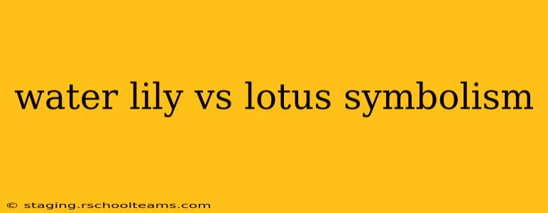 water lily vs lotus symbolism