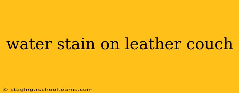 water stain on leather couch