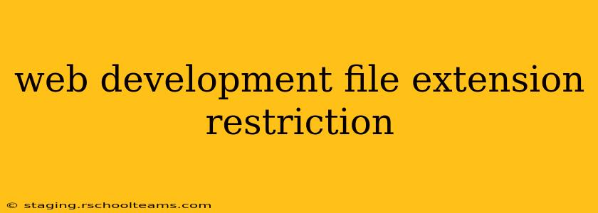 web development file extension restriction