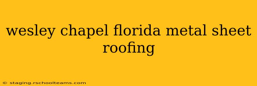wesley chapel florida metal sheet roofing