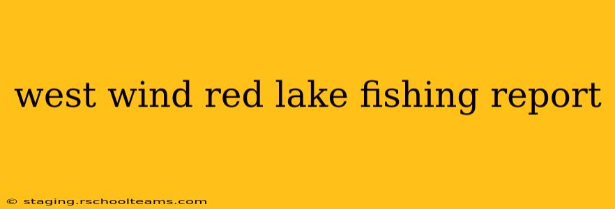 west wind red lake fishing report