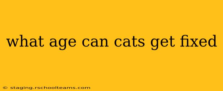what age can cats get fixed